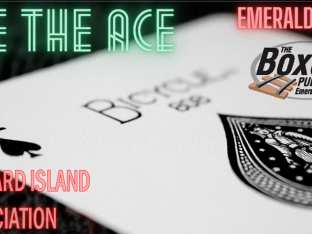 Chase the Ace